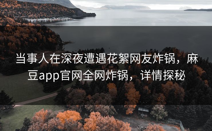 当事人在深夜遭遇花絮网友炸锅，麻豆app官网全网炸锅，详情探秘